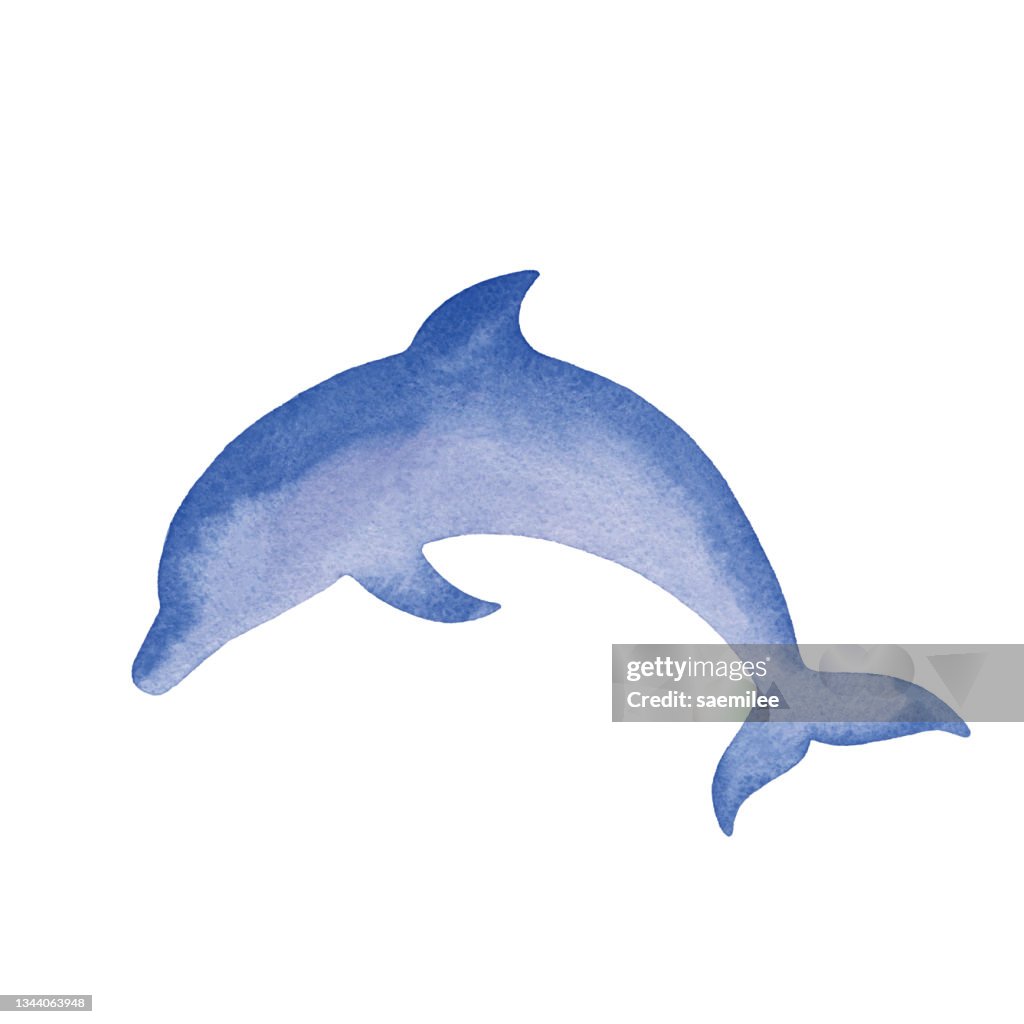 Watercolor Simple Dolphin Illustration