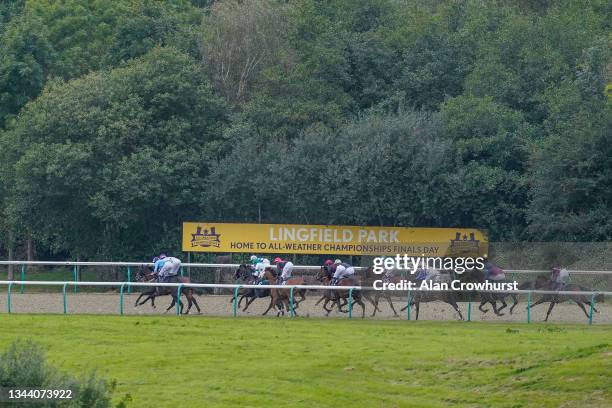 Runners race down the back straight during The Cazoo Handicap at Lingfield Park Racecourse on September 30, 2021 in Lingfield, England.
