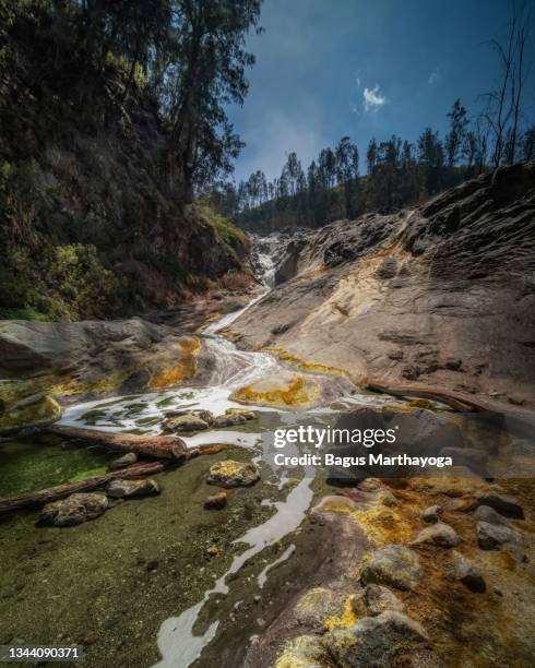 Mati Riva Mati River Photos and Premium High Res Pictures - Getty Images