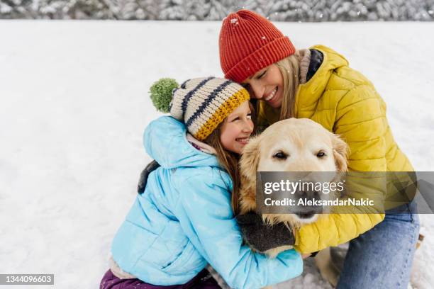 on snow with our dog - family with dog stockfoto's en -beelden