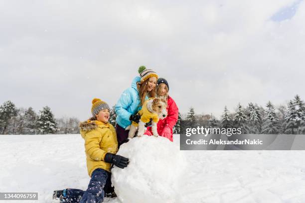 einen schneemann bauen - schneemann bauen stock-fotos und bilder