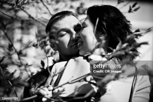 affectionate couple at branch of a tree outdoors - black and white lovers stock pictures, royalty-free photos & images