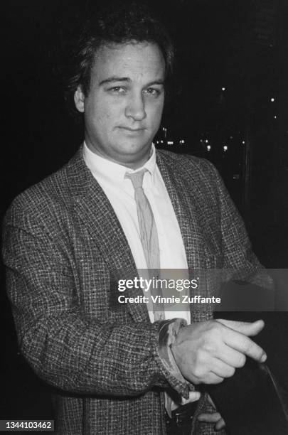 American actor James Belushi wearing a tweed jacket over a white shirt and slim necktie, location unspecified, circa 1985.