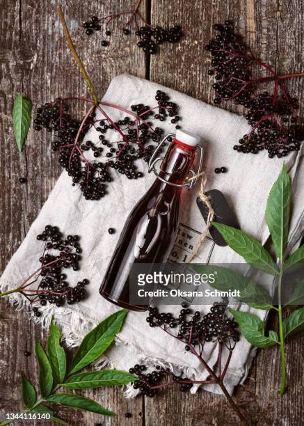 delicious homemade black elderberry liqueur in a glass bottle. - likör stock-fotos und bilder