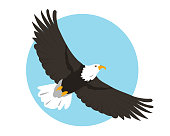 North American Bald Eagle flying in sky. Bird icon