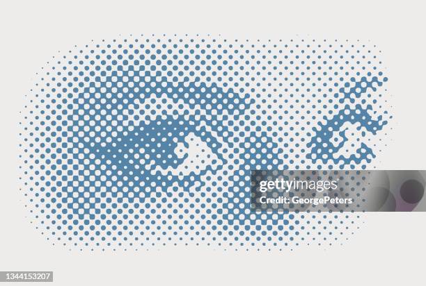 close-up woman's eyes and face - eyebrows stock illustrations