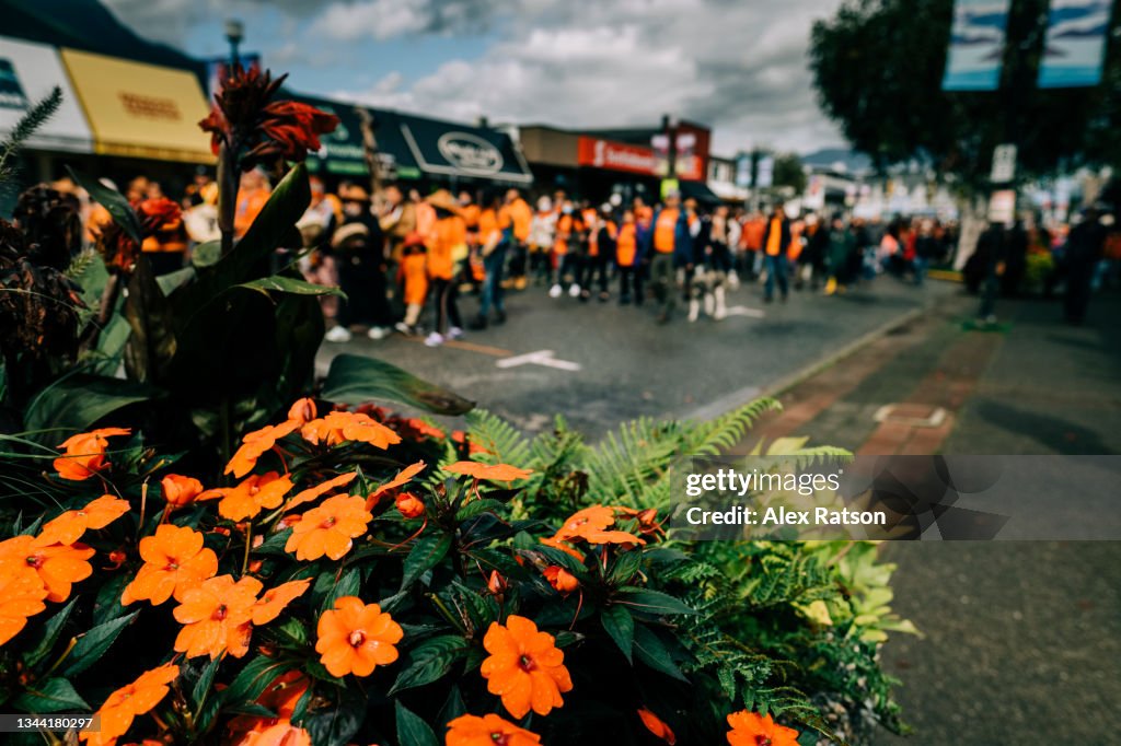 A group of people wearing orange shirts walk in honour of Canada National Day for Truth and Reconciliation