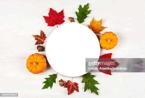 autumn table setting with plate, pumpkins and leaves. happy thanksgiving day. - thanksgiving wallpaper stock pictures, royalty-free photos & images