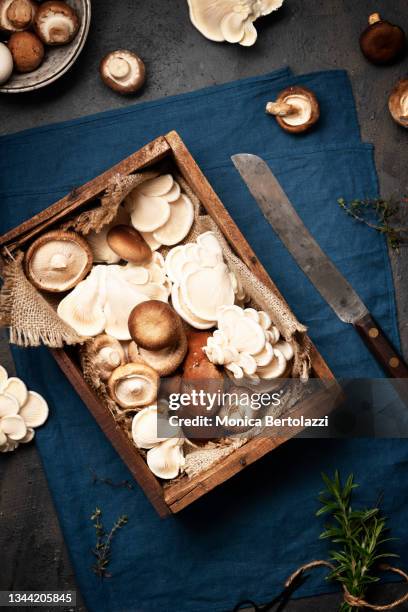 shiitake and oyster mushroom, directly above  in wooden box - shiitake mushroom stockfoto's en -beelden