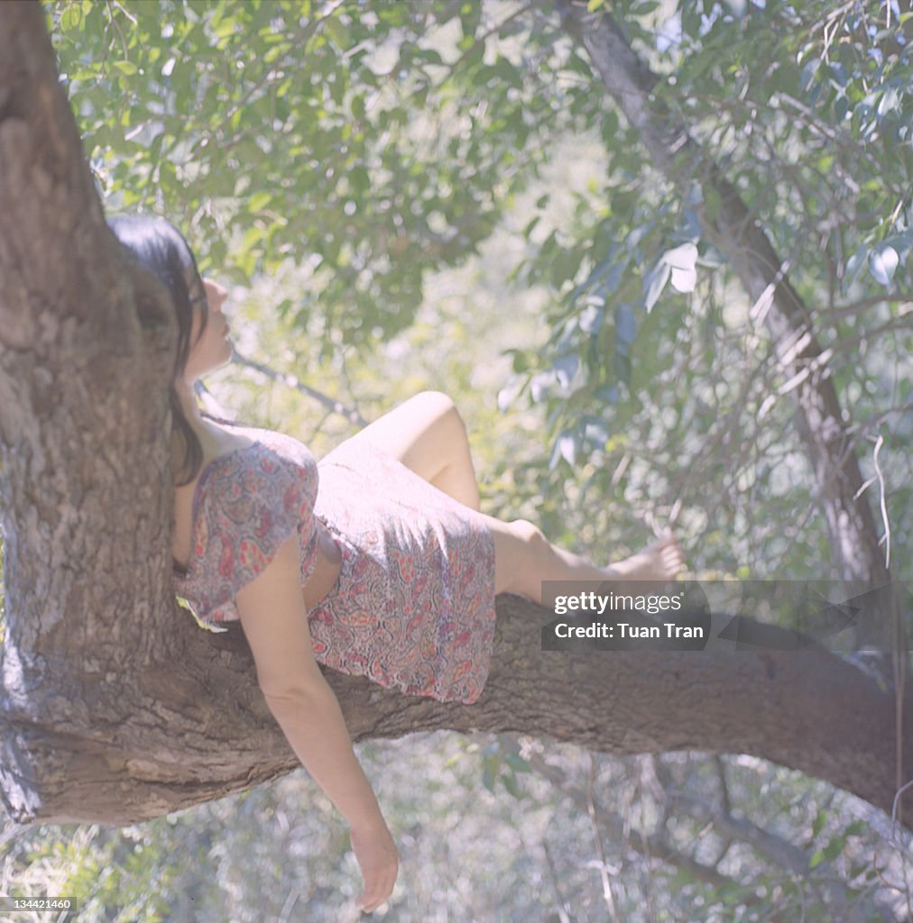 Woman Laying Down On Tree Branch High-Res Stock Photo - Getty Images