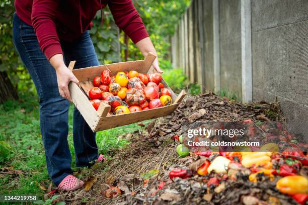 frau entleert lebensmittelabfälle auf gartenkomposthaufen - kompost stock-fotos und bilder