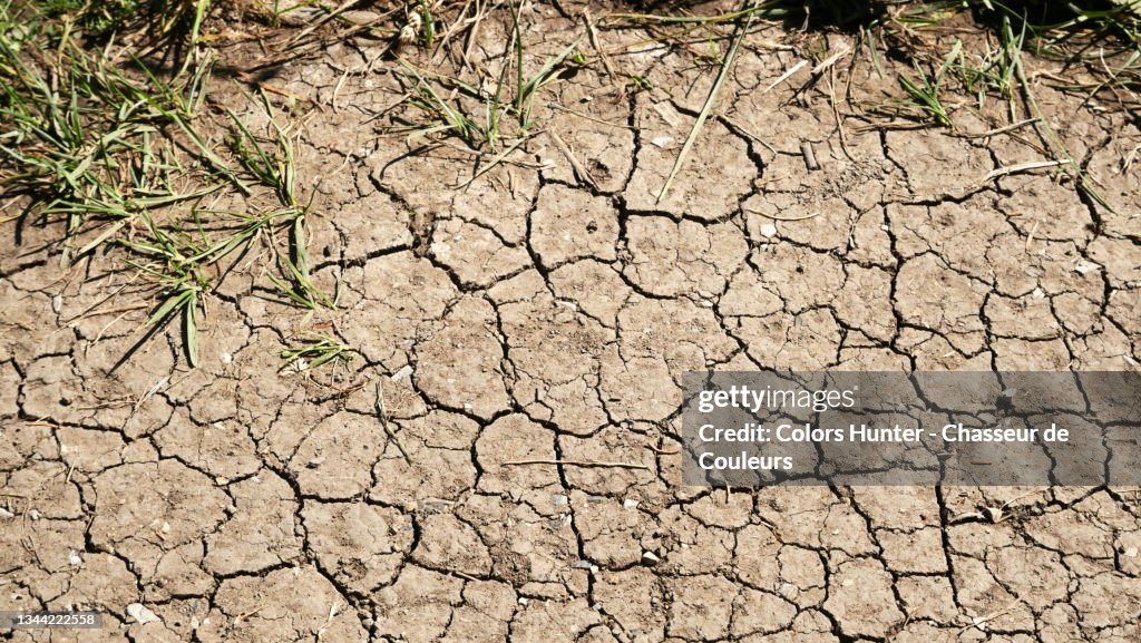 Dry and cracked earth with herbs in France