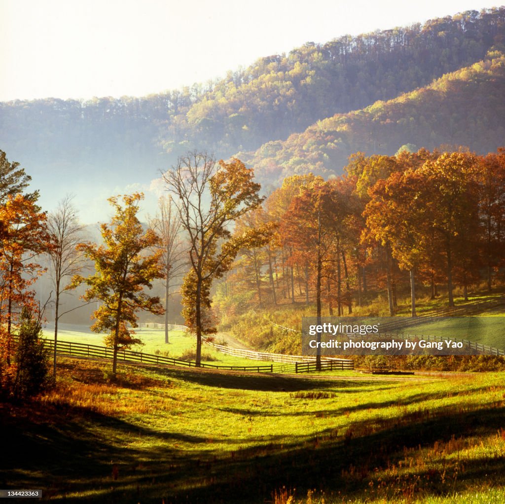 Morning at smokies