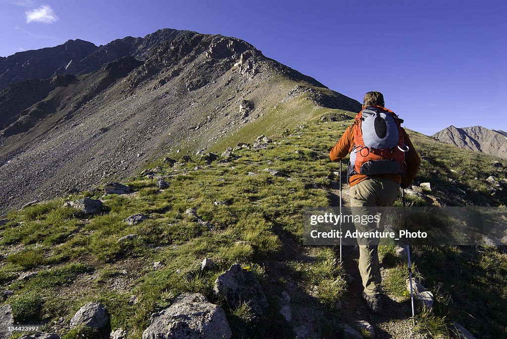 Male Hiker Hiking High on Trail 14er Mountain Peak