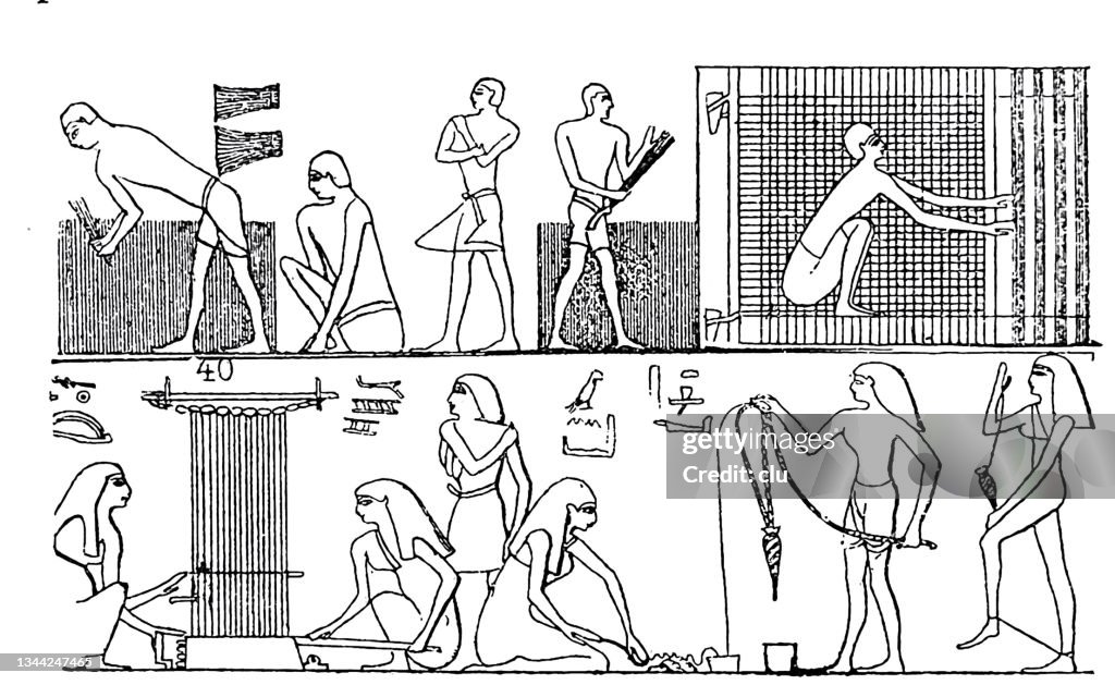 Ancient egyptian culture: Flax harvesting, weaving and spinning from XII dynasty