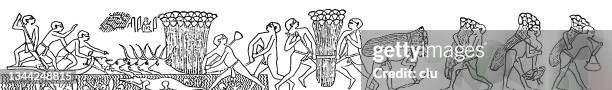 stockillustraties, clipart, cartoons en iconen met ancient egyptian culture: papyrus harvest - papyrusriet