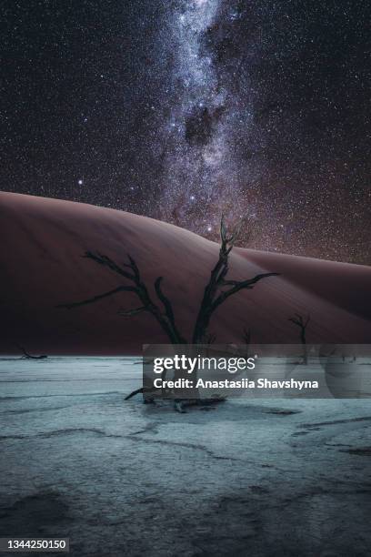 砂漠の真ん中にある星の百万の下で孤独な木 - dead vlei namibia ストックフォトと画像