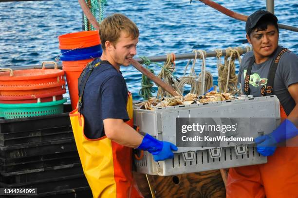 déchargement de leurs prises - pêcheur photos et images de collection