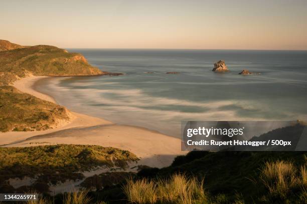 scenic view of sea against sky during sunset,dunedin,new zealand - dunedin foto e immagini stock