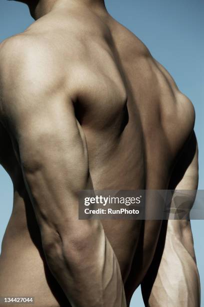 young man body close-up,back - body muscles photos et images de collection