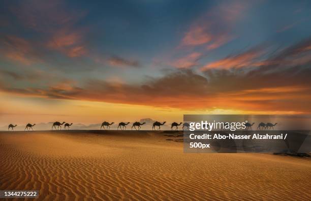 scenic view of desert against sky during sunset,al humiyat,riyadh province,saudi arabia - saudi arabien stock-fotos und bilder
