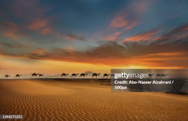 scenic view of desert against sky during sunset,al humiyat,riyadh province,saudi arabia - saudi arabian stock pictures, royalty-free photos & images