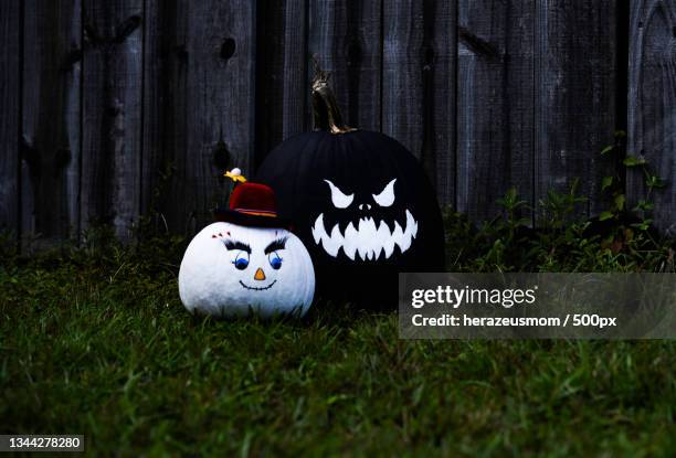 close-up of jack o lantern on field,united states,usa - casino mask stock pictures, royalty-free photos & images