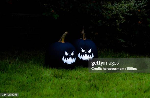 view of pumpkins on field,united states,usa - halloween covid stock pictures, royalty-free photos & images