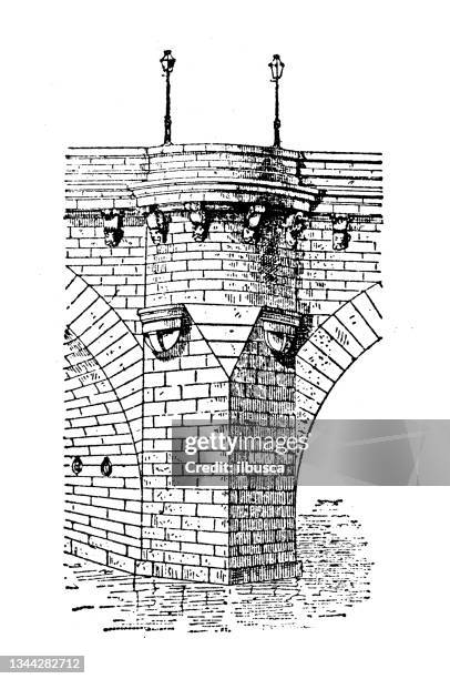 antique illustration: starling (structure) - starling stock illustrations