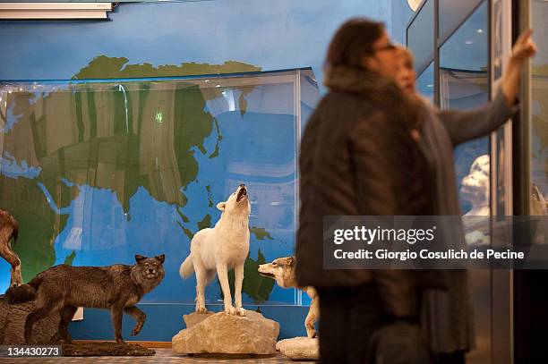 30 The Art Of Taxidermy Press Preview Photos and Premium High Res Pictures - Getty Images 30 The Art Of Taxidermy Press Preview Photos and Premium High Res Pictures - Getty Images