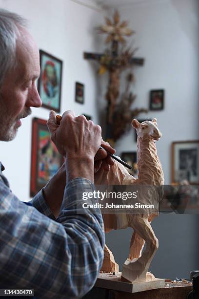 Woodcarver Herbert Haseidl carves a figurine in the shape of a dromedary for a Christmas crèche at his workshop on December 1, 2011 in Oberammergau,...