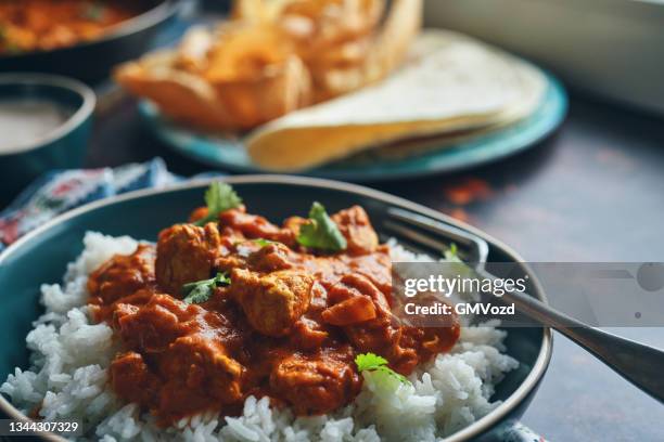 indian chicken curry with naan bread and poppadum - curry bildbanksfoton och bilder