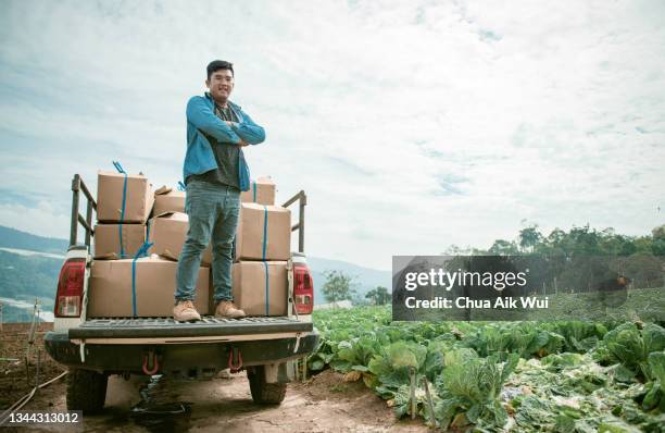 farmer with vegetables box container and pick-up truck - pick up truck back stock pictures, royalty-free photos & images