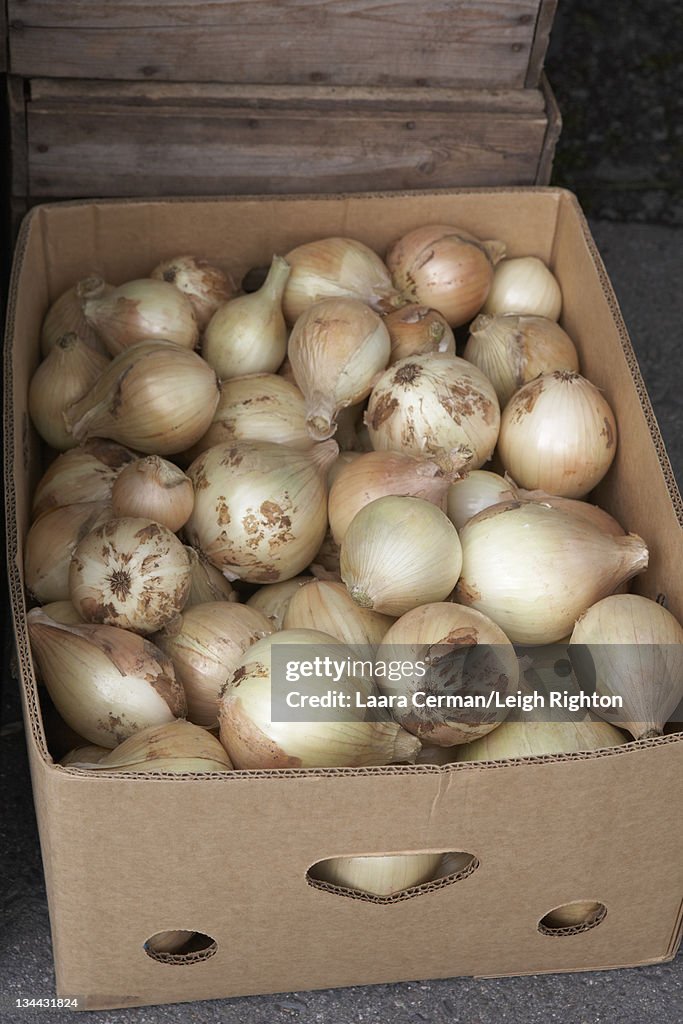 Onions for sale at a Farmer's Market.