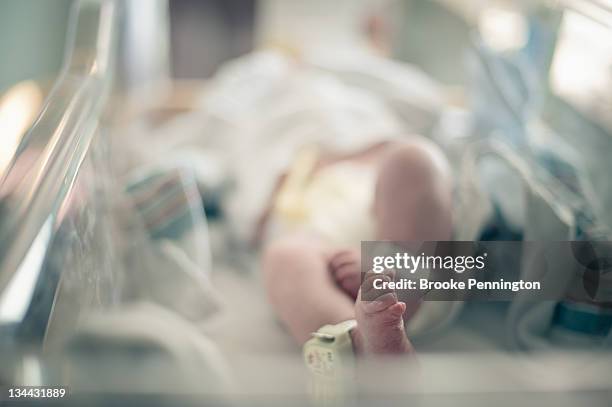 newborn infant - lettino ospedale foto e immagini stock