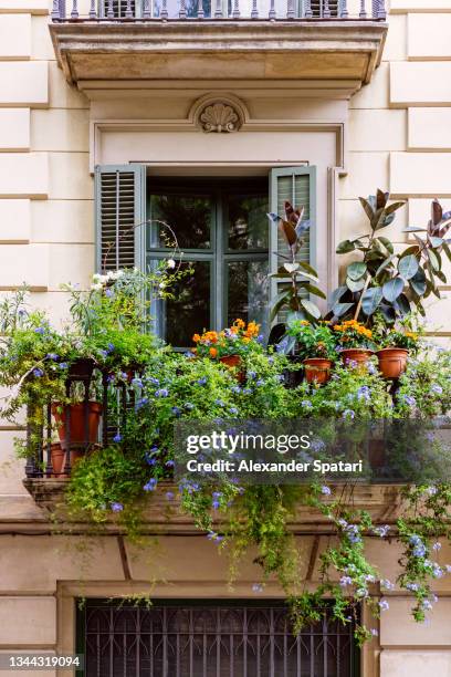 balcony with flowers and plants in pots, barcelona, spain - balkon blumen stock-fotos und bilder