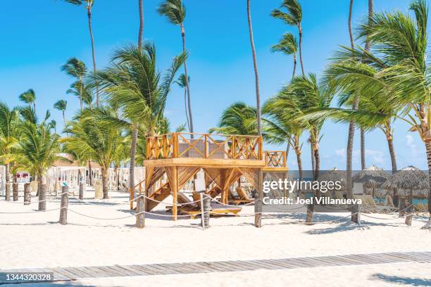 idyllic tropical beach with thatch huts and lounge chairs in the dominican republic - punta cana stock pictures, royalty-free photos & images