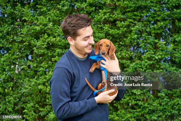 young man happy to see his pet - dachshund holiday stock pictures, royalty-free photos & images