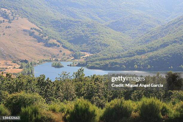 Daniel Ruesga Ruesga Photos and Premium High Res Pictures - Getty Images