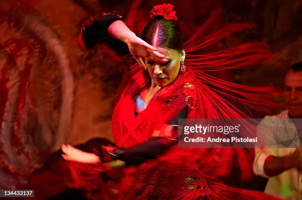 flamenco dance in seville - flamencos stock-fotos und bilder