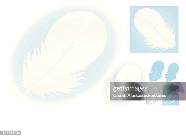 down feather (white, plain and outline) - down feather stock illustrations