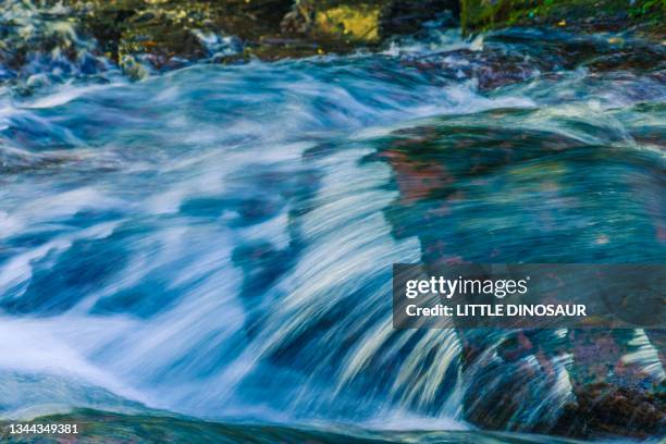 the clean water of a mountain stream that runs through the rocks - água doce imagens e fotografias de stock