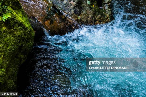 mountain stream water flowing between rocks - mt dew stock pictures, royalty-free photos & images