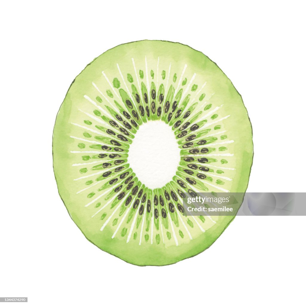 Aquarelle Kiwi