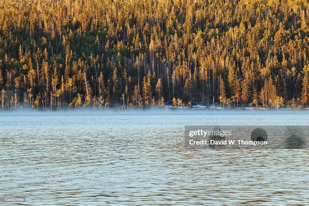 Lake with autumn trees in Zion national park