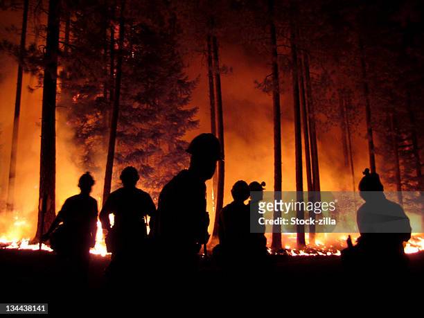 burnout at  b&b complex - incendio forestal fotografías e imágenes de stock