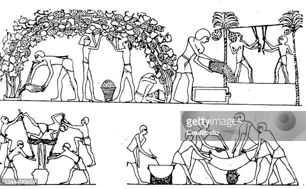 古代エジプト文化:ブドウの収穫 - 古代エジプト点のイラスト素材／クリップアート素材／マンガ素材／アイコン素材