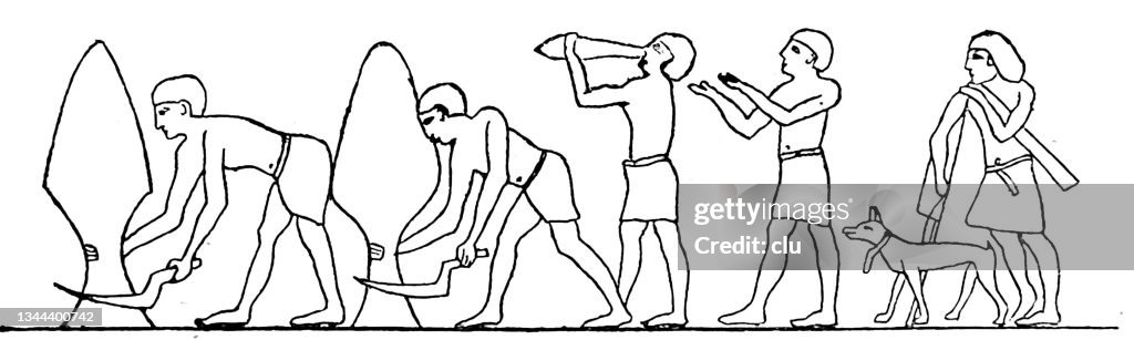 Ancient egyptian culture: Workers cut sycamore trees