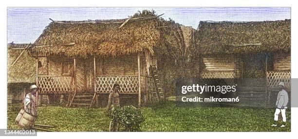 old illustration of farm house in the blanche bay (bismarck archipelago, new guinea) - irian jaya stock pictures, royalty-free photos & images