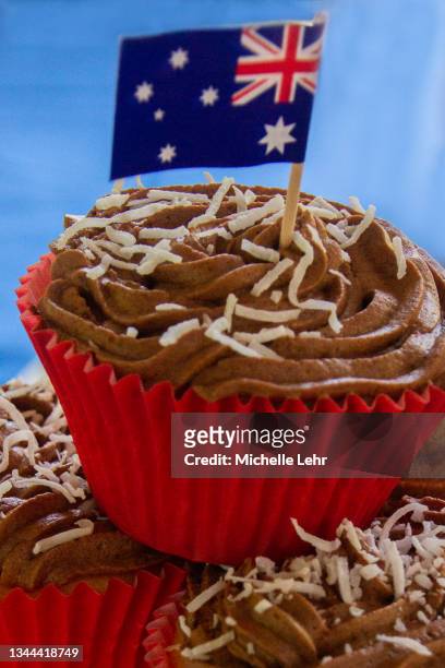 australian barbeque with desserts - forma de queque imagens e fotografias de stock